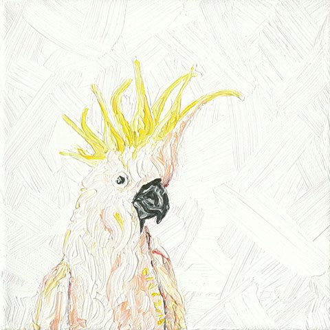 11921870_1001954886503285_1489722027313623083_n