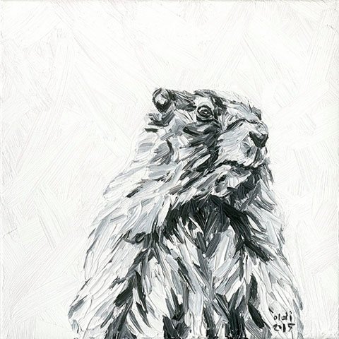 11923190_1001954939836613_3827396405258584960_n