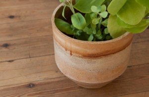 ariane_prin_-_rust_-_03