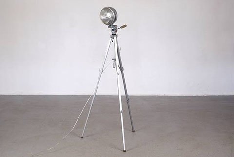 1513702_10153214008038622_6710094628271961654_n