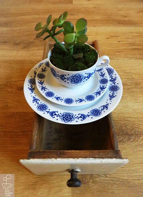 12717228_1561555360826834_8892200104194124872_n