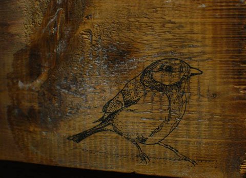 1901616_1412357002413925_7765275658166049366_n