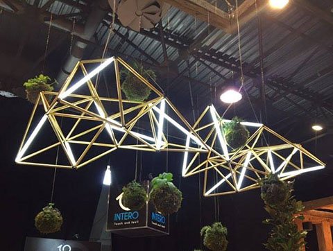 12969442_10207522485478302_877763728_n