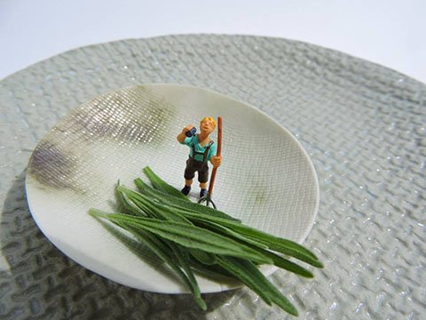 13015421_569795083198508_6712324475560186305_n