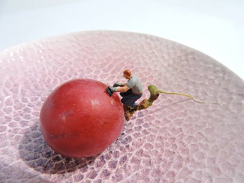 13043234_570960546415295_7258582853771535672_n