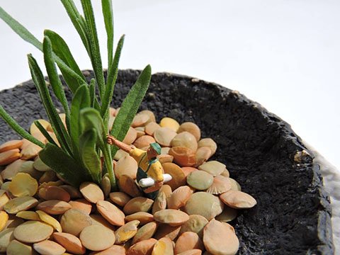 13082597_574565139388169_2221708198536784514_n