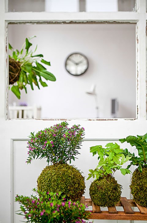 14180066654_1da7aa70b6