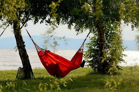 13510809_10156974127765577_8255048300334807652_n