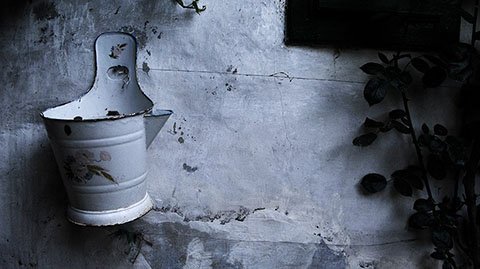 13876284_545586225641473_2207355064069542231_n