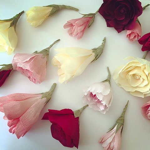 14192604_1764606877086602_8416636253225876488_n