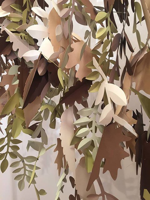 14238147_1770086406538649_2772426329037273231_n