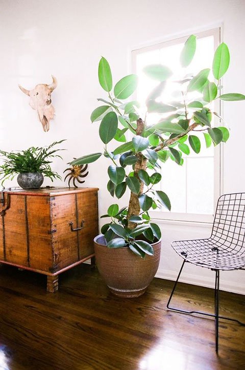 8ce88e5dd3ca878effb34819c860bfcf