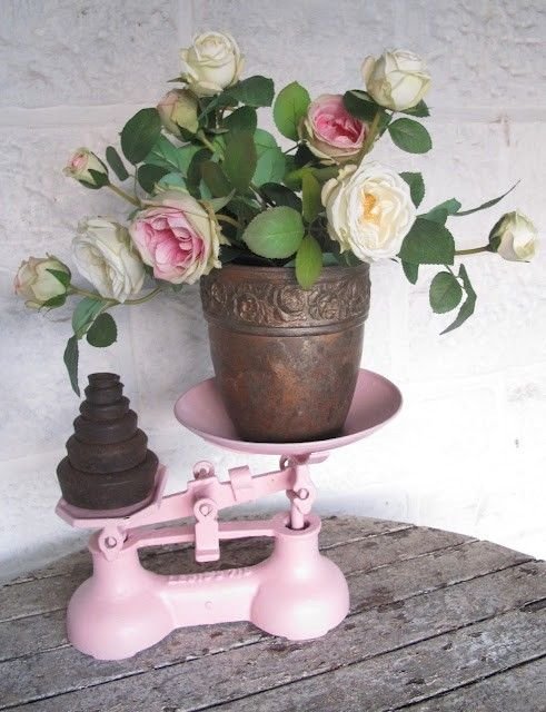 Pretty roses on a vintage pink scale