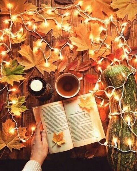 Őszi levél hangulat